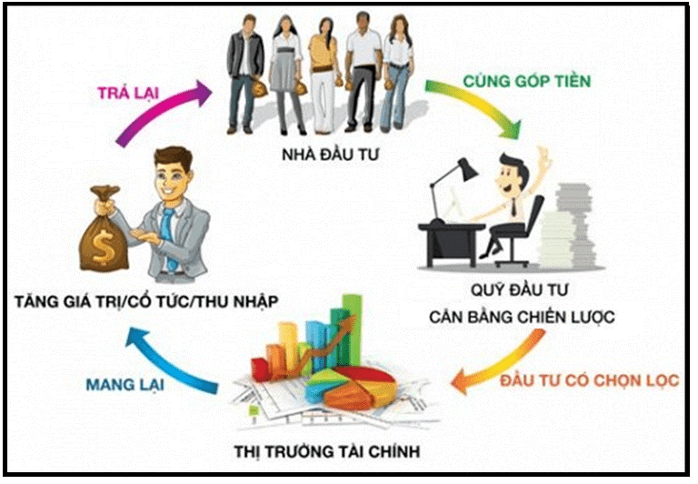 Kiến thức về thị trường tài chính
