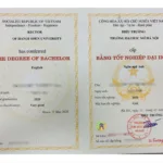 van-bang-2-ngon-ngu-anh-nang-cap-ky-nang-mo-rong-co-hoi-nghe-nghiep (1)
