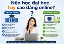 Học cao đẳng online cho người đi làm nên chọn ngành gì? Nên học đại học hay cao đẳng online?
